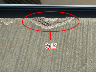 西東京市　外壁塗装　屋根塗装　事前点検　屋根に生えたカビ