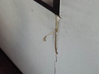 大田区　雨漏り調査　屋内の雨漏り　剥がれたクロス