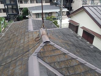 江戸川区　屋根の調査