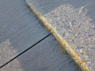屋根塗装　苔　コケ　藻　カビ