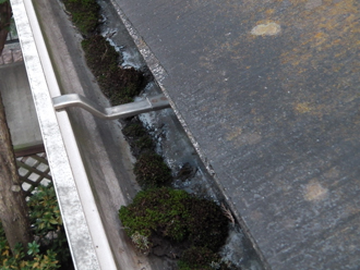 府中市　外壁塗装と屋根塗装の事前調査　雨樋に植物が生えている
