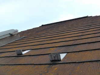 府中市　外壁塗装と屋根塗装の事前調査　屋根に苔が生えている