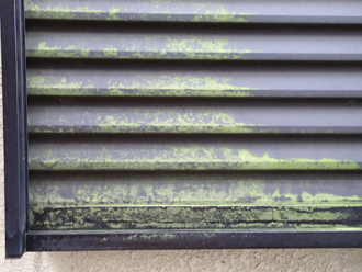 小平市　外壁塗装事前点検　雨戸に生えた苔