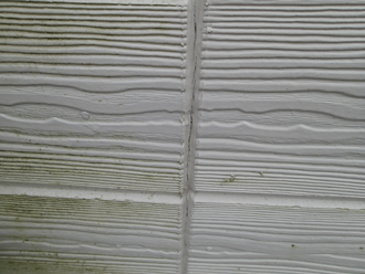 長生郡　外壁塗装　スタッコフレックス　北側外壁　苔　藻