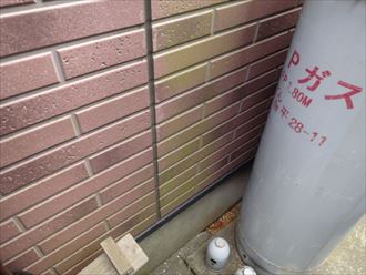 富津市,苔,外壁