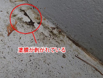 横浜市金沢区　擁壁塗装前の点検　塗膜が剥がれている