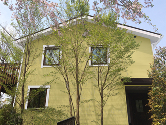 藤沢市　屋根塗装　外壁塗装　黄色　G27-85H　破風窓枠白　サーモアイ4F　クールチョコ