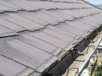 佐倉市　屋根塗装前の点検　屋根点検　屋根点検　経年劣化