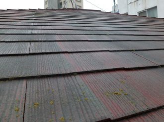 松戸市　屋根塗装　屋根点検