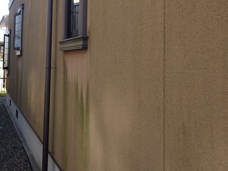 袖ケ浦市　外壁塗装前の点検　外壁　苔　藻