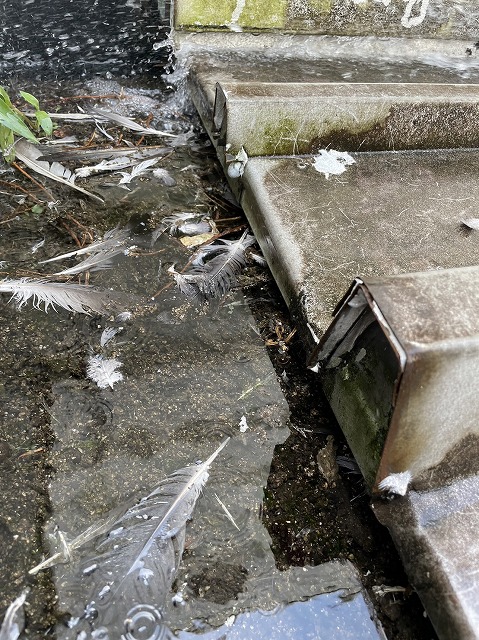 熊本市南区工場水切り雨漏り原因