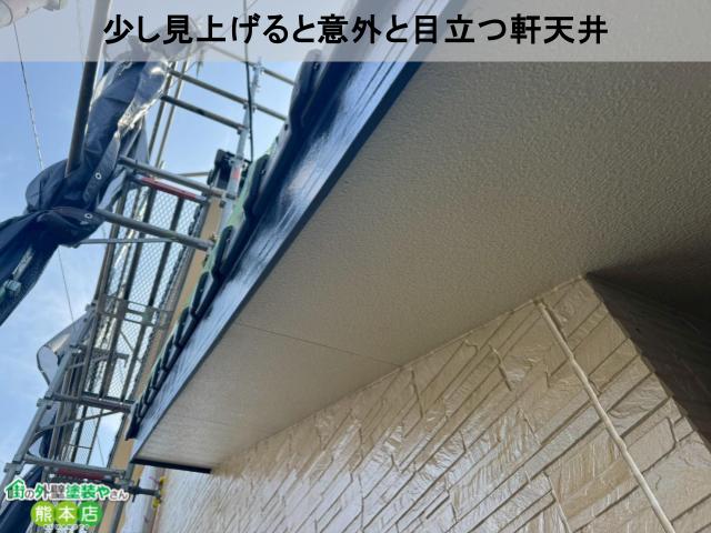 少し見上げると意外と目立つ軒天井