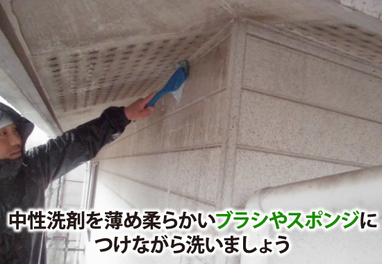 苔対策自身での掃除