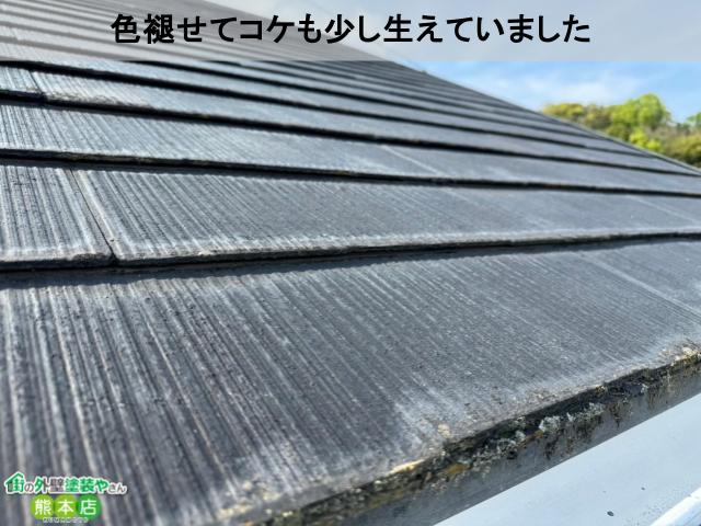 屋根コケ