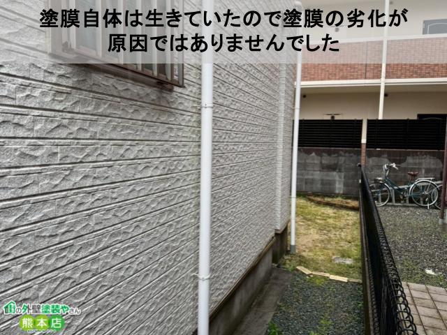 塗膜自体は生きていたので塗膜の劣化が 原因ではありませんでした