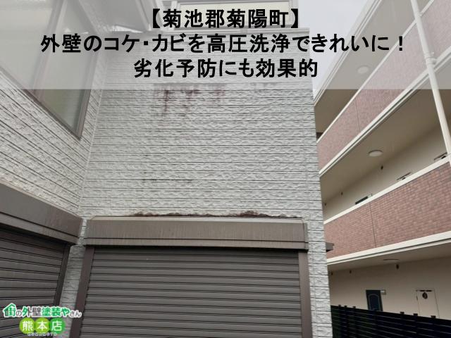 【菊池郡菊陽町】外壁のコケ・カビを高圧洗浄できれいに！劣化予防にも効果的