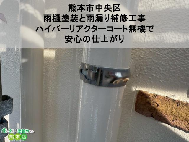 【熊本市中央区】雨樋塗装と雨漏り補修工事｜ハイパーリアクターコート無機で安心の仕上がり