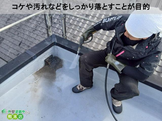 コケや汚れなどをしっかり落とすことが目的