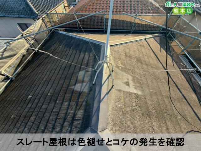 スレート屋根は色褪せとコケの発生を確認