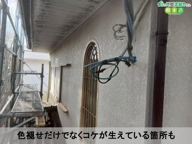 色褪せだけでなくコケが生えている箇所も