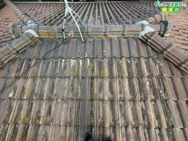 熊本市東区モニエル瓦無料点検・調査