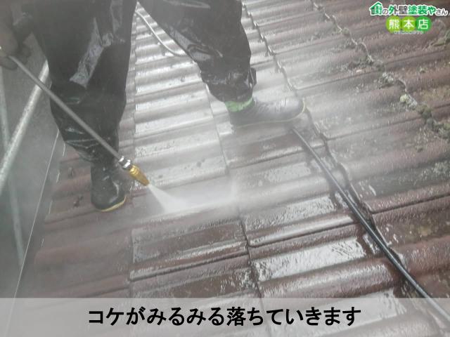 コケがみるみる落ちていきます