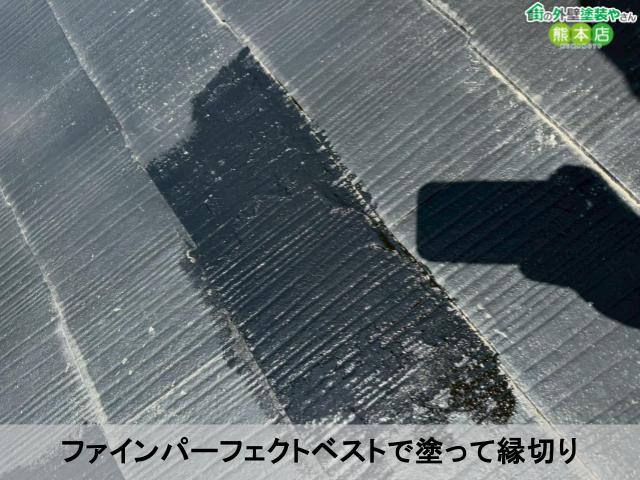ファインパーフェクトベストで塗って縁切り