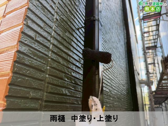 雨樋 中塗り・上塗り