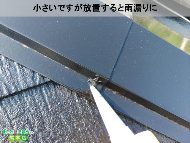 放置すると雨漏り