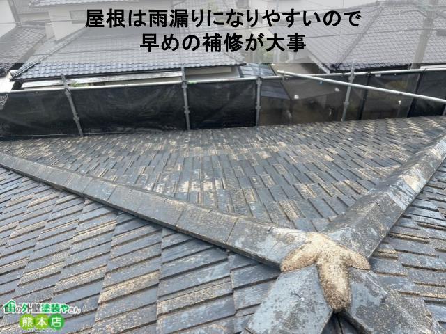 塗り替え早めに