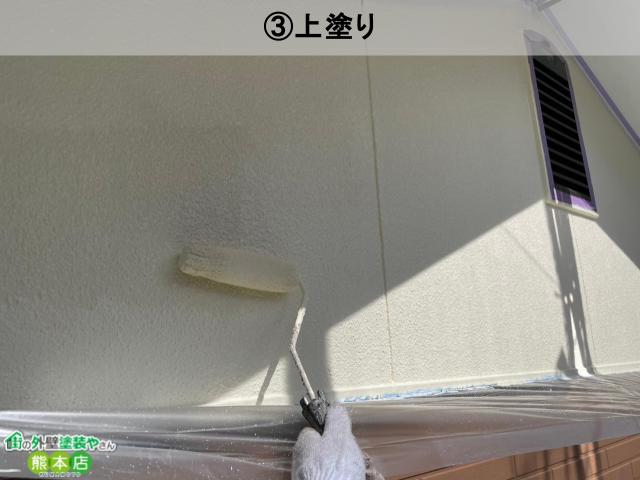 無機エクスカリバーaz-wで上塗り