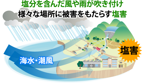 塩害が住宅に与える影響と安心して任せられる工事業者の選び方を解説