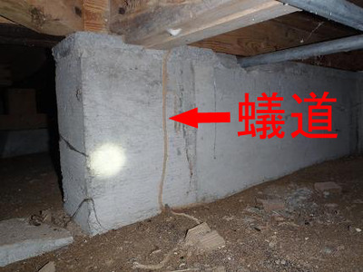 蟻道