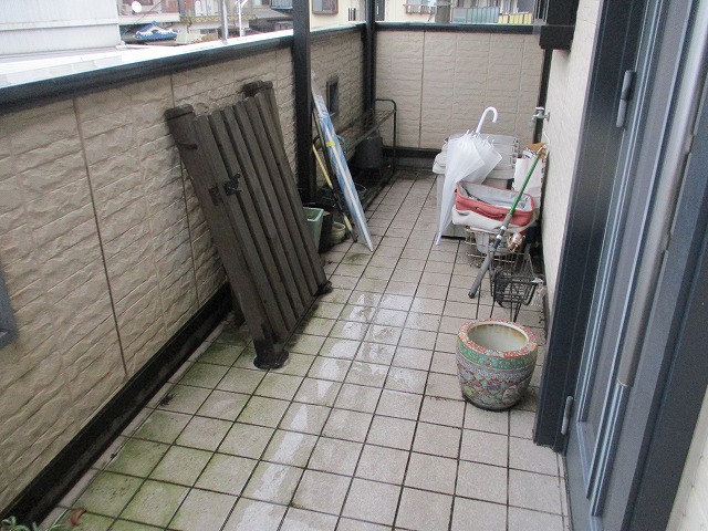 苔 カビ