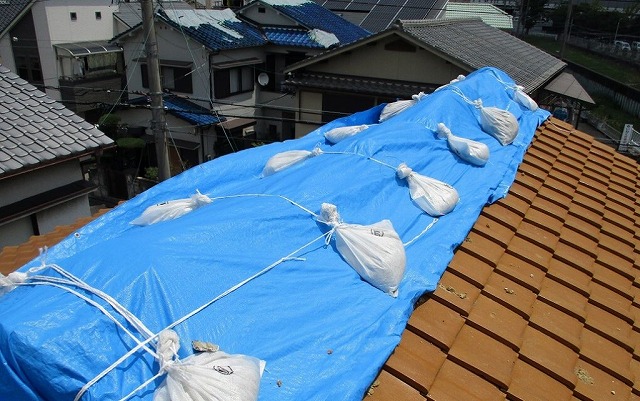 雨養生ガイド: 自然災害や悪徳業者から守る知識と対策