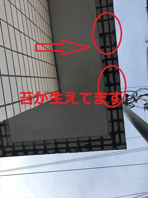 タイル雨漏れ