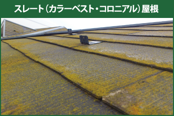 吹田市の屋根に潜む問題｜苔、藻、カビと戦う方法