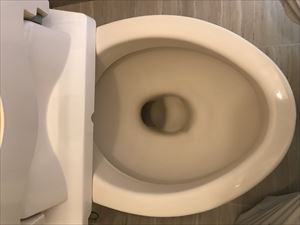 洗浄後、コーティング前のトイレ便器