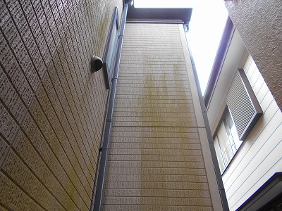 志木市で外壁の点検をしてきました