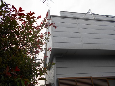 ふじみ野市で【雨漏り診断】に行きました