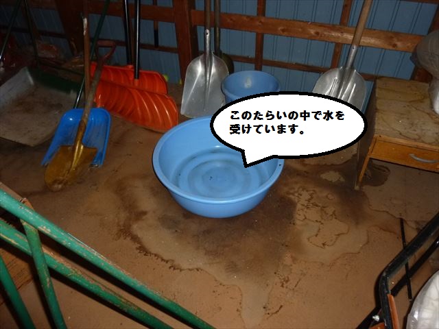 上越市高田地区の車庫・倉庫からの二階天井からの雨漏り発生で板金瓦棒葺き屋根の調査を行いました！