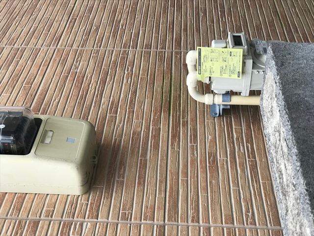 苔が生えている外壁