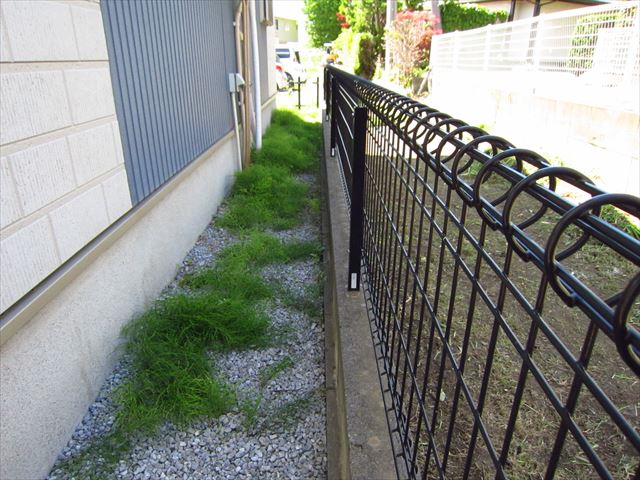 雑草の手入れ