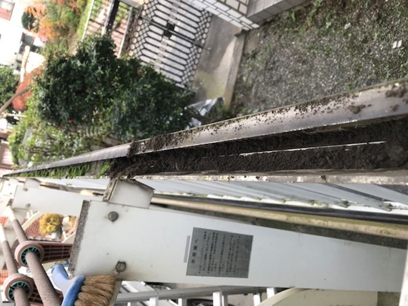ごみいっぱいのカーポート屋根柵