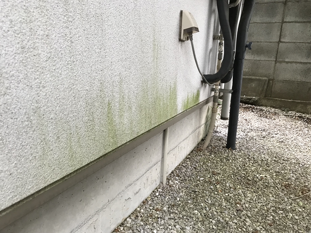 コンクリ外壁の湿気による苔