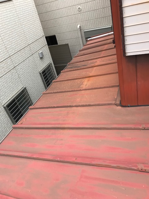 １階の屋根2