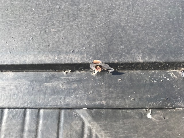 屋根棟板金釘補修前