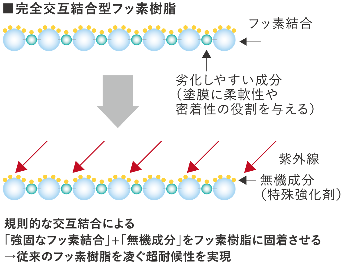 完全交互結合型フッ素樹脂