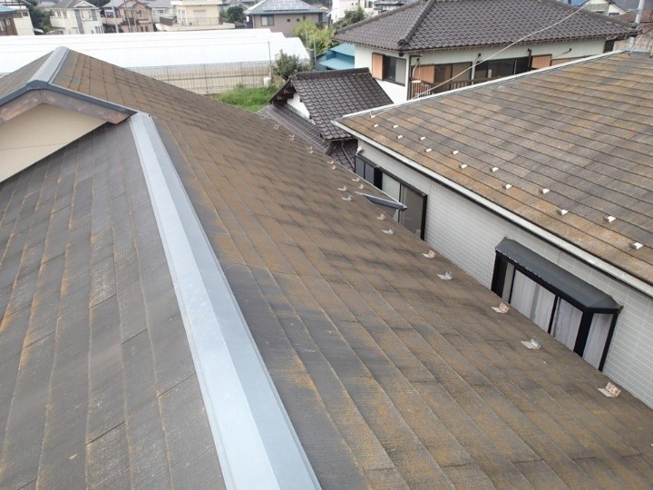 屋根の化粧スレートには苔の発生