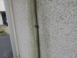 江戸川区南葛西にて苔が発生しているモルタル外壁の調査、外壁塗装工事をご提案